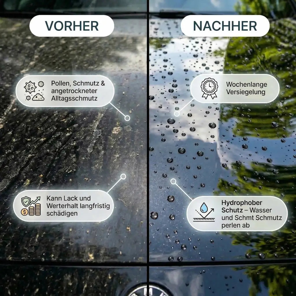 Frühjahrs Glanz Set
